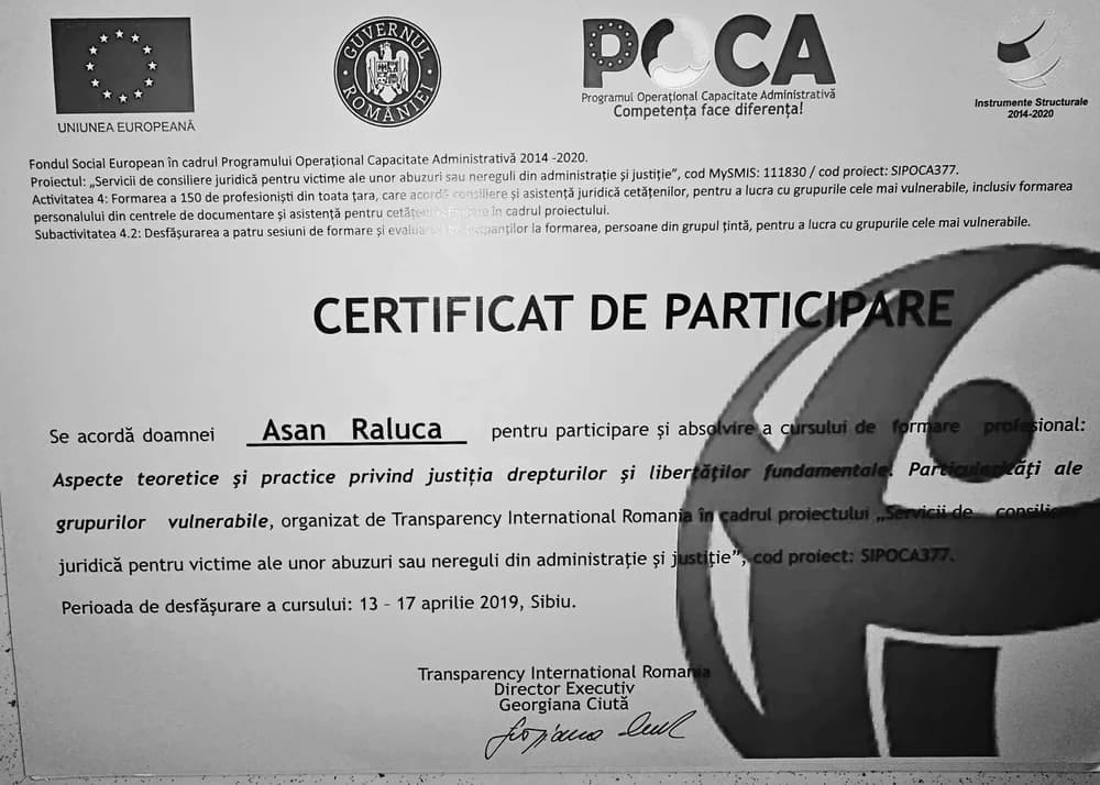 Certificate 6